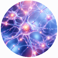 Brain and focus
